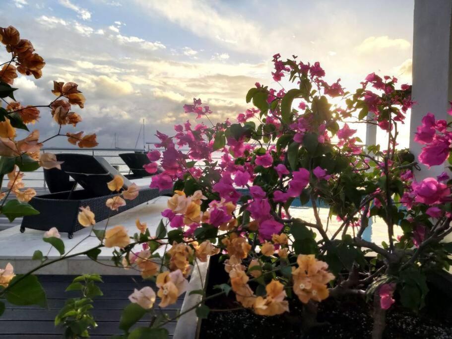 Tradewinds Apartments Simpson Bay Luaran gambar